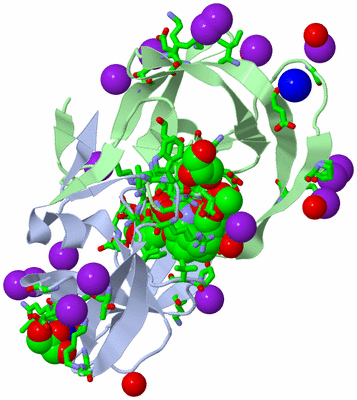 Image Asym./Biol. Unit - sites