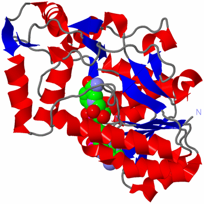 Image Asym./Biol. Unit