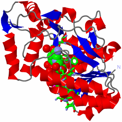 Image Asym./Biol. Unit - sites