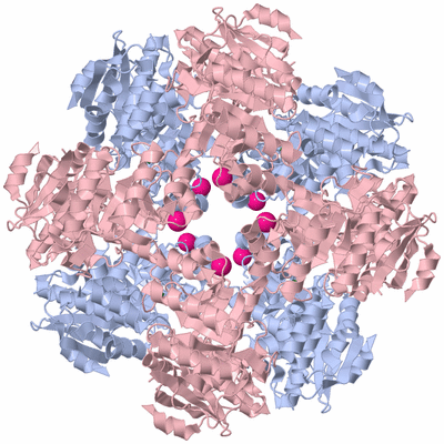 Image Biological Unit 1