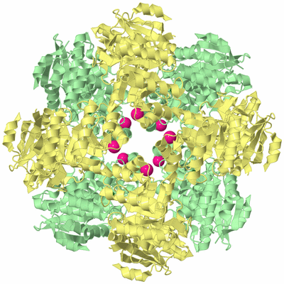 Image Biological Unit 2