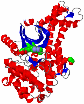 Image Asym./Biol. Unit