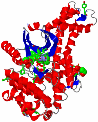 Image Asym./Biol. Unit - sites