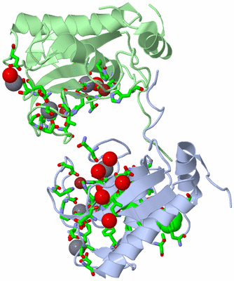 Image Biol. Unit 1 - sites