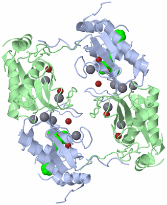 Image Biological Unit 2