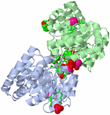 Image Biol. Unit 1 - sites