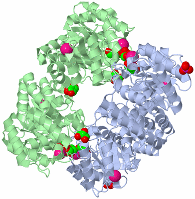 Image Biological Unit 2