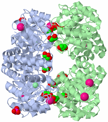 Image Biological Unit 2