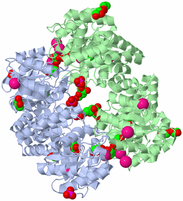 Image Biological Unit 2