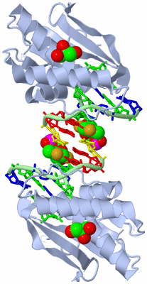 Image Biological Unit 1