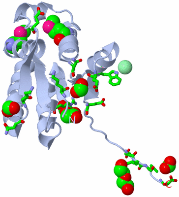 Image Biol. Unit 1 - sites