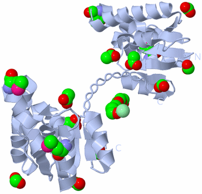 Image Biological Unit 2