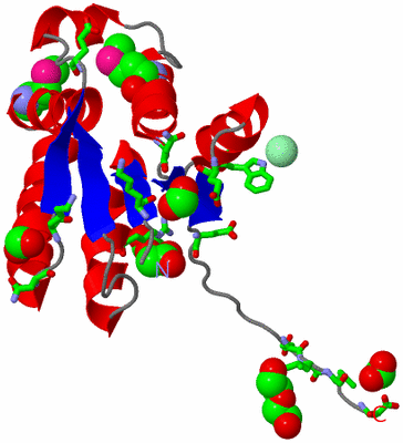 Image Asym. Unit - sites