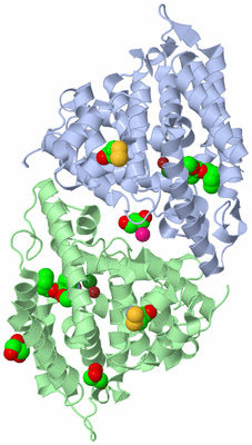 Image Asym./Biol. Unit