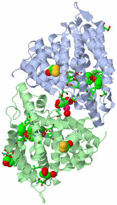 Image Asym./Biol. Unit - sites