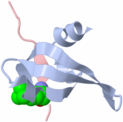 Image Biological Unit 1