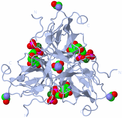 Image Biological Unit 1