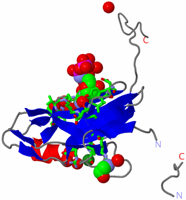 Image Asym. Unit - sites