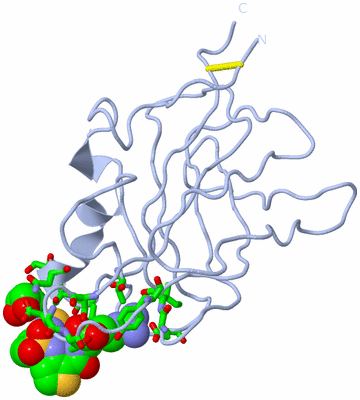 Image Biol. Unit 1 - sites