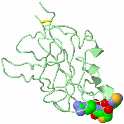 Image Biological Unit 2