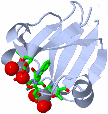 Image Biol. Unit 1 - sites