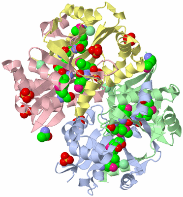 Image Biological Unit 1