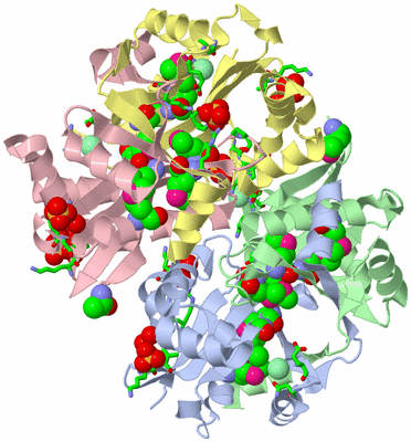 Image Biol. Unit 1 - sites