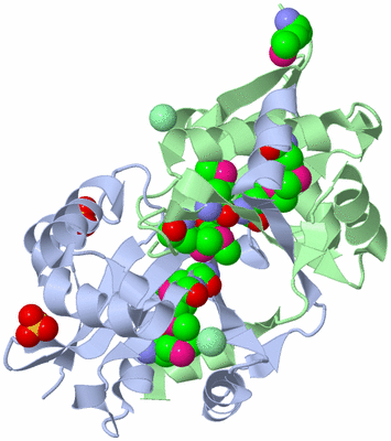 Image Biological Unit 2