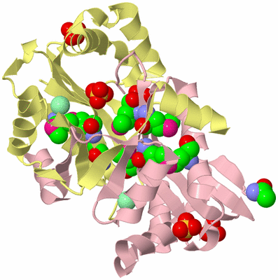 Image Biological Unit 3