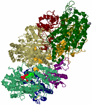 Image Biological Unit 1