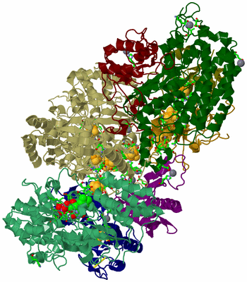 Image Biol. Unit 1 - sites