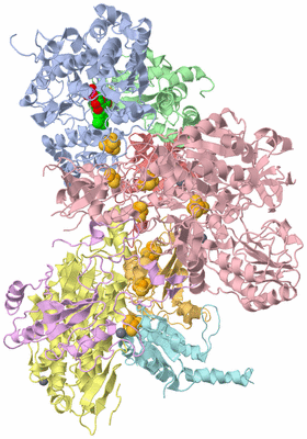 Image Biological Unit 2