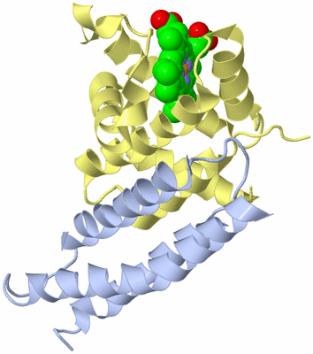 Image Biological Unit 1