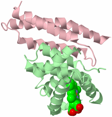 Image Biological Unit 2