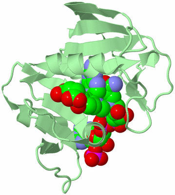 Image Biological Unit 2