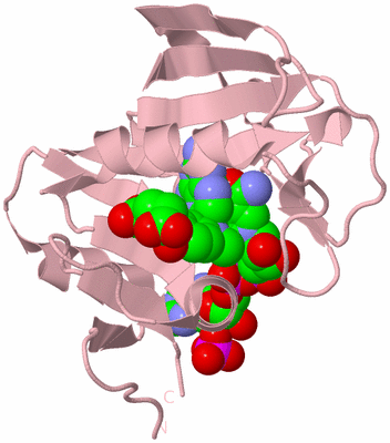 Image Biological Unit 3