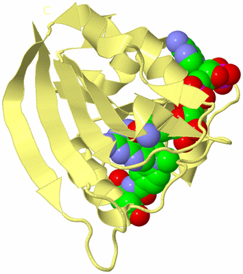 Image Biological Unit 4