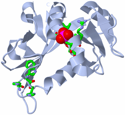 Image Biol. Unit 1 - sites