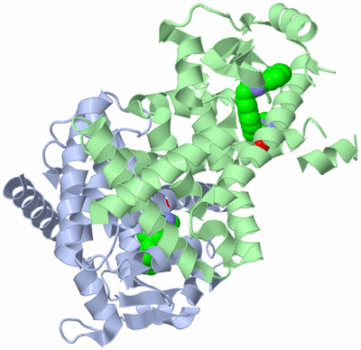 Image Biological Unit 1