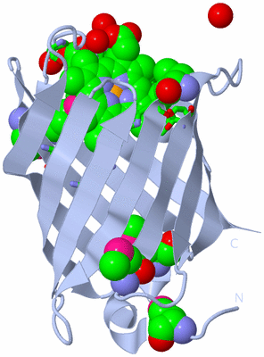 Image Biol. Unit 1 - sites