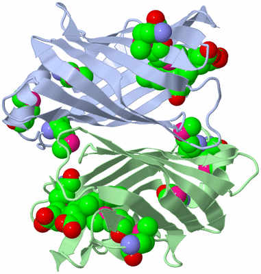 Image Biological Unit 3