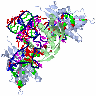 Image Biological Unit 2