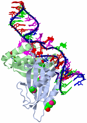 Image Asym. Unit - sites