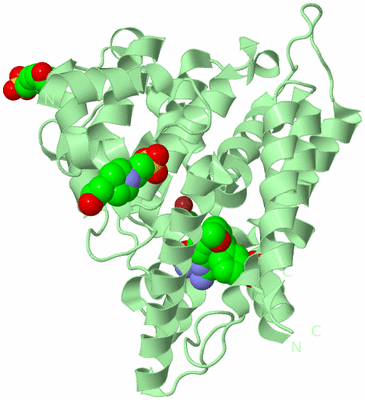 Image Biological Unit 2