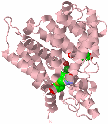 Image Biological Unit 3