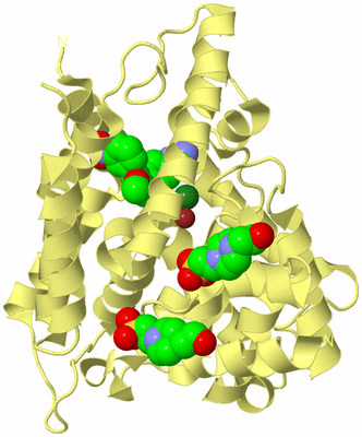 Image Biological Unit 4