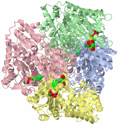 Image Asym./Biol. Unit