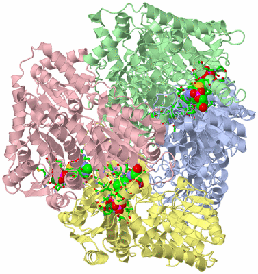 Image Asym./Biol. Unit - sites