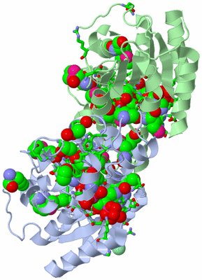 Image Asym./Biol. Unit - sites