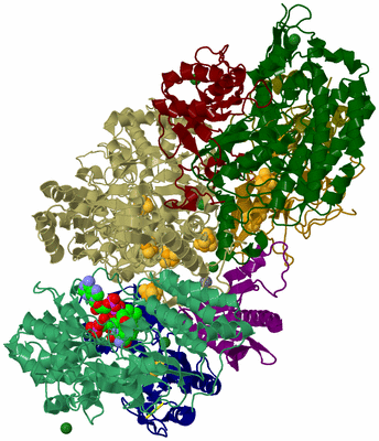 Image Biological Unit 1